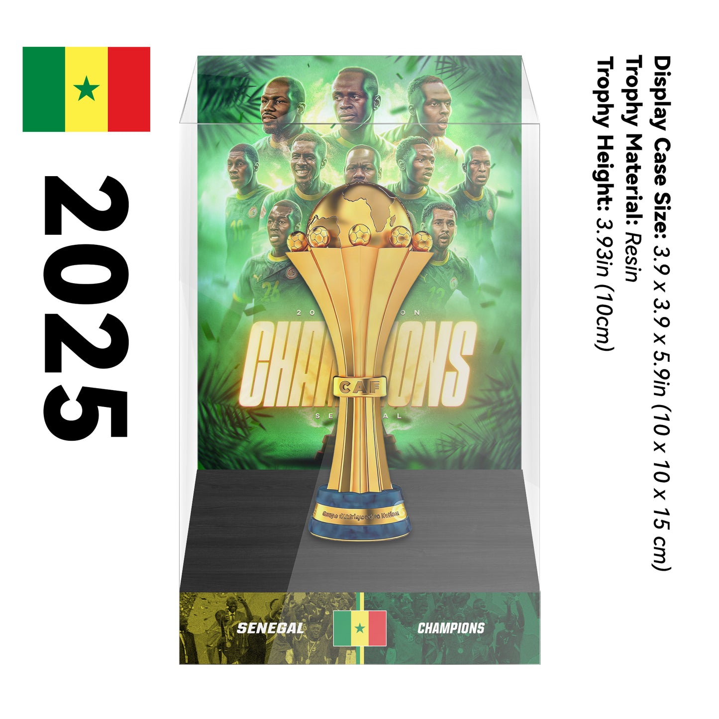 Africa Cup of Nations Champions Trophy Display Case