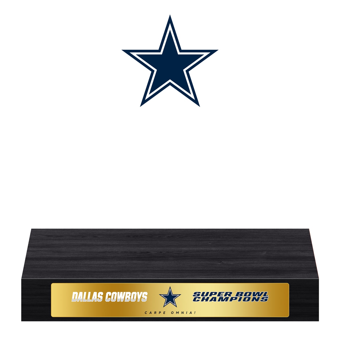 Dallas Cowboys Super Bowl Championship Trophy Ring Display Case