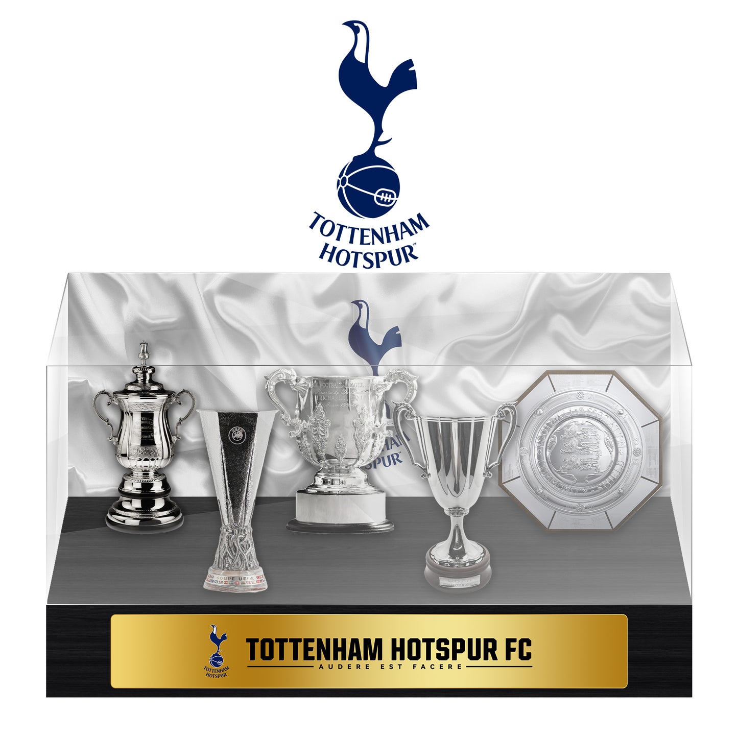 Tottenham Hotspur Football Championship Trophy Display Case