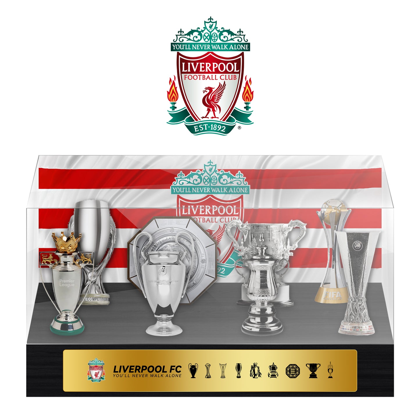 Liverpool Football Championship Trophy Display Case