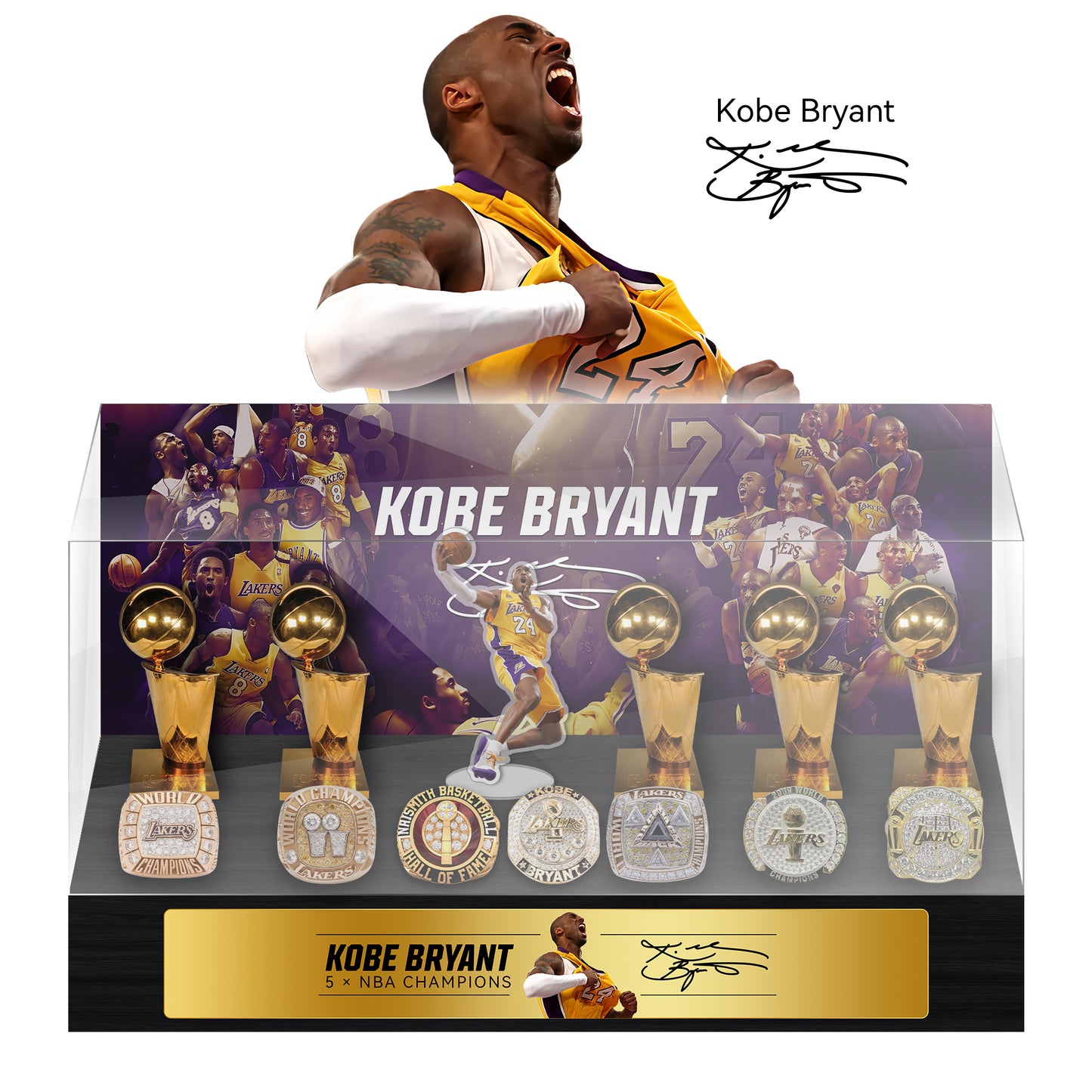 Kobe Bryant NBA Championship Trophy And  Rings Display Case