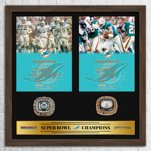 Miami Dolphins NFL Super Bowl Championship Ring Pendant Frame