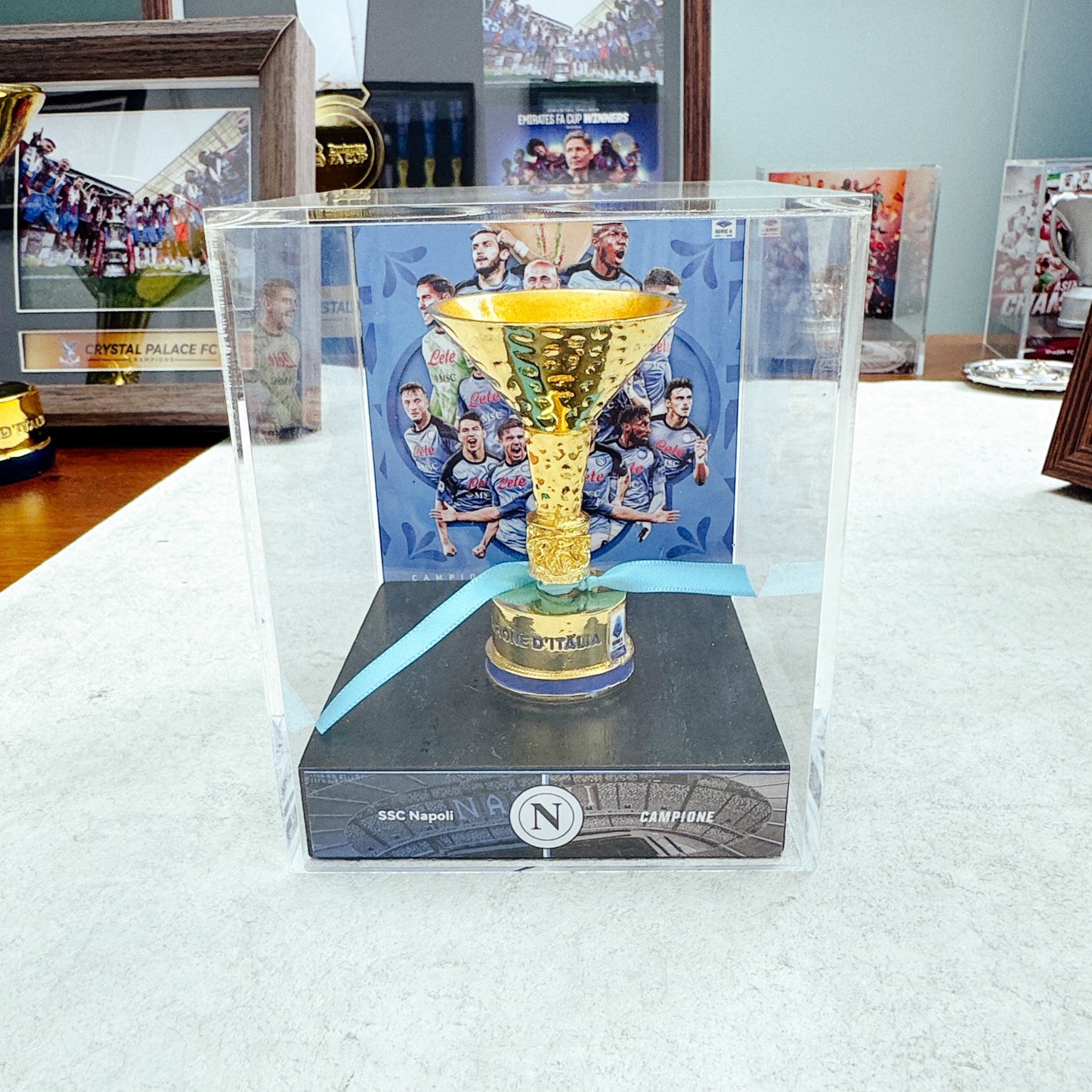 Serie A Championship Trophy Display Case