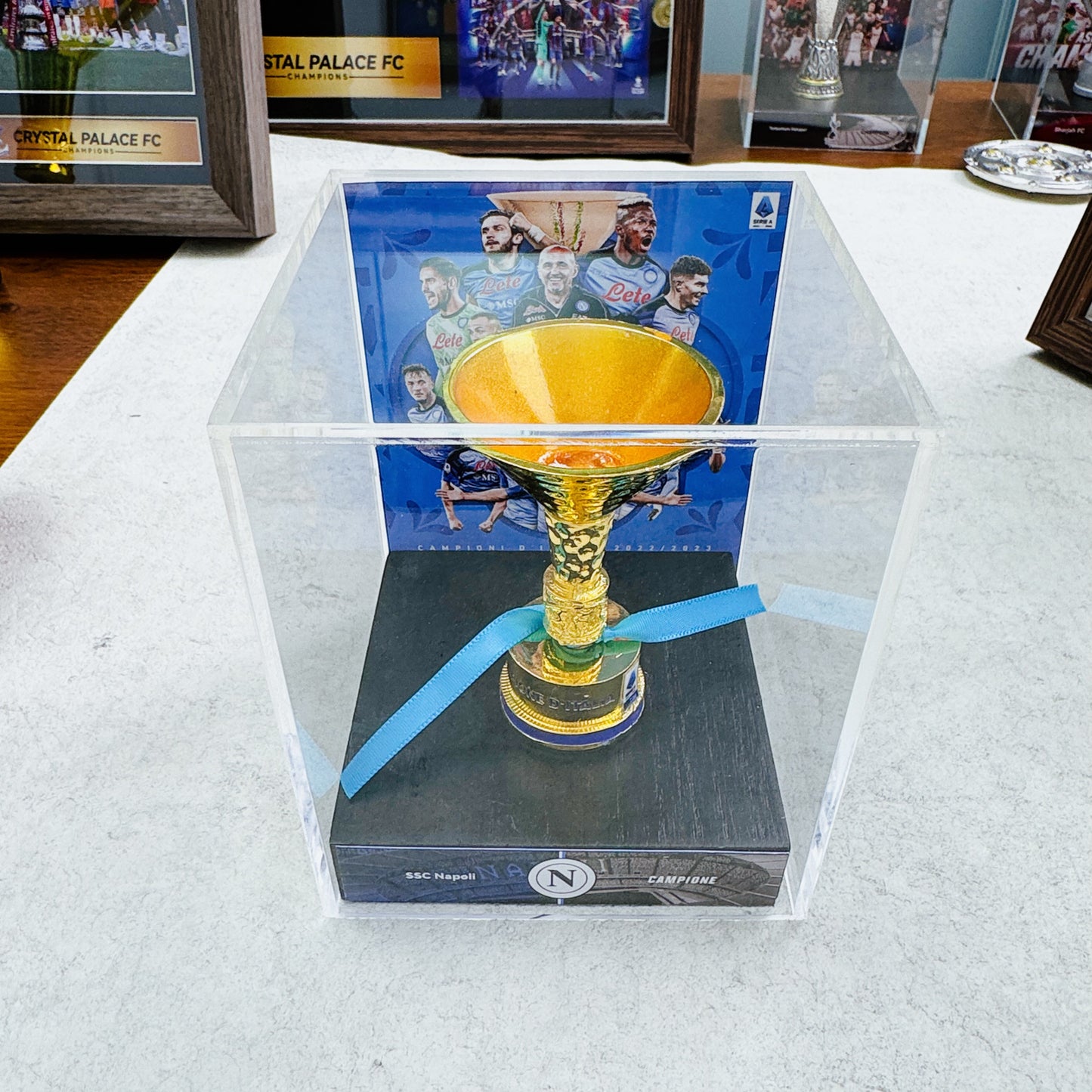 Serie A Championship Trophy Display Case