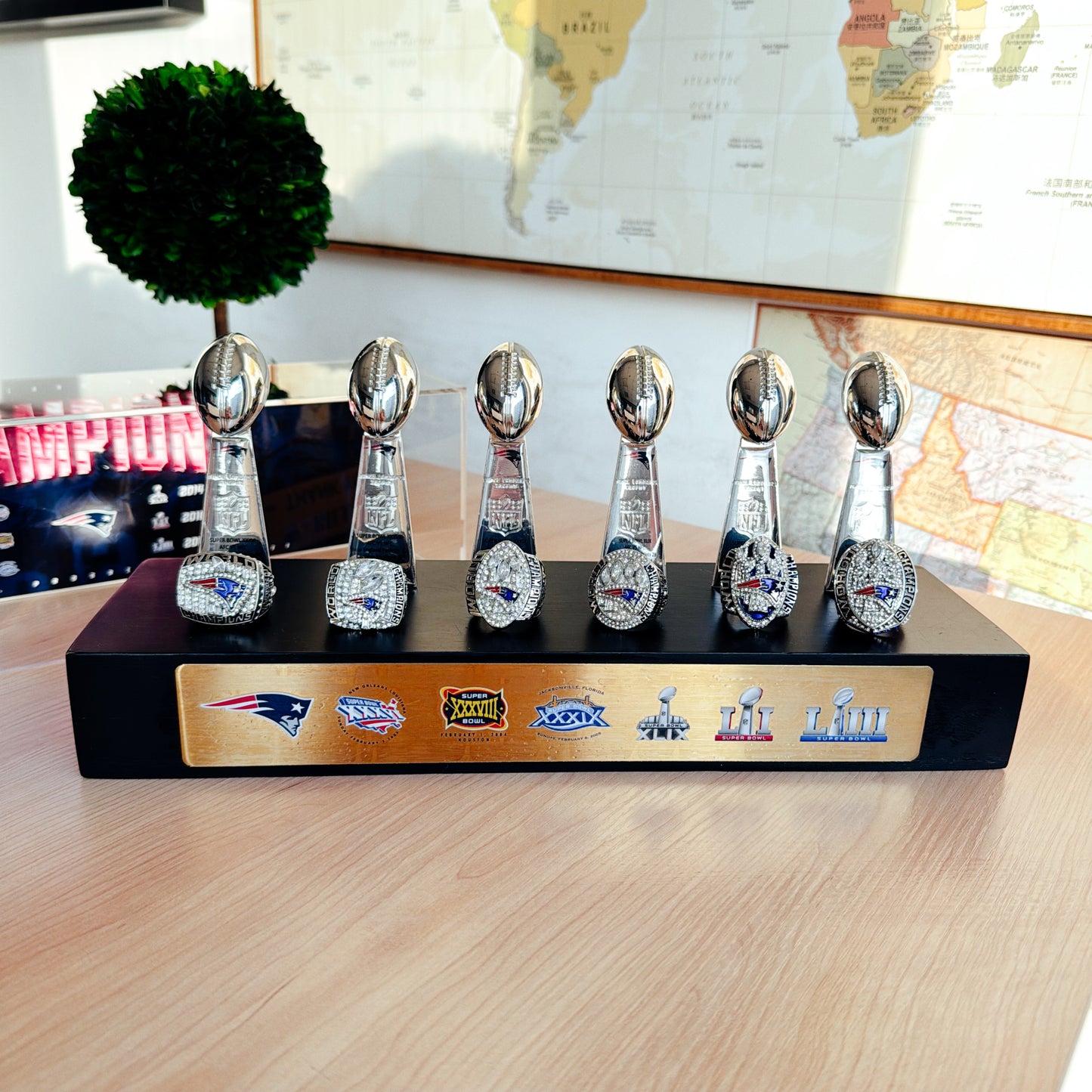 New England Patriots Super Bowl Championship Trophy Ring Display Case