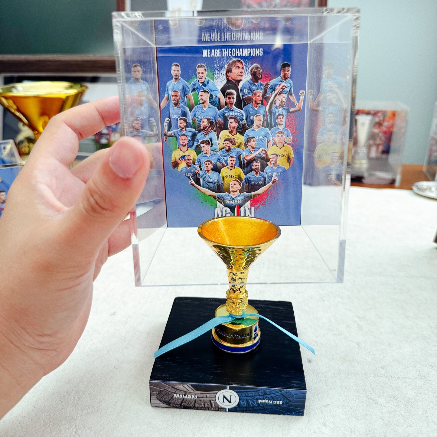 Serie A Championship Trophy Display Case