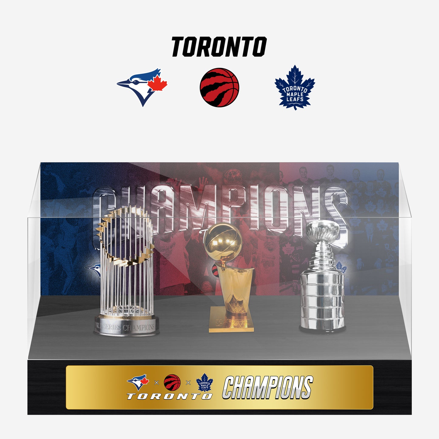 Toronto Championship Trophy and Rings Display Case