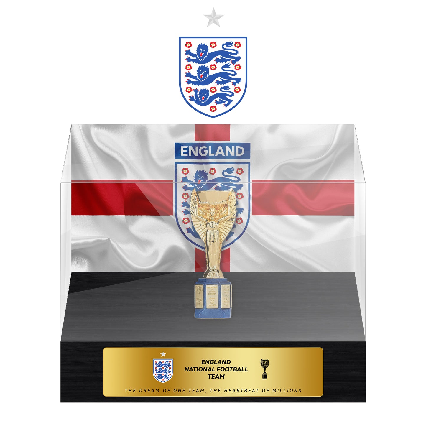 England National Football Team Championship Trophy Display Case