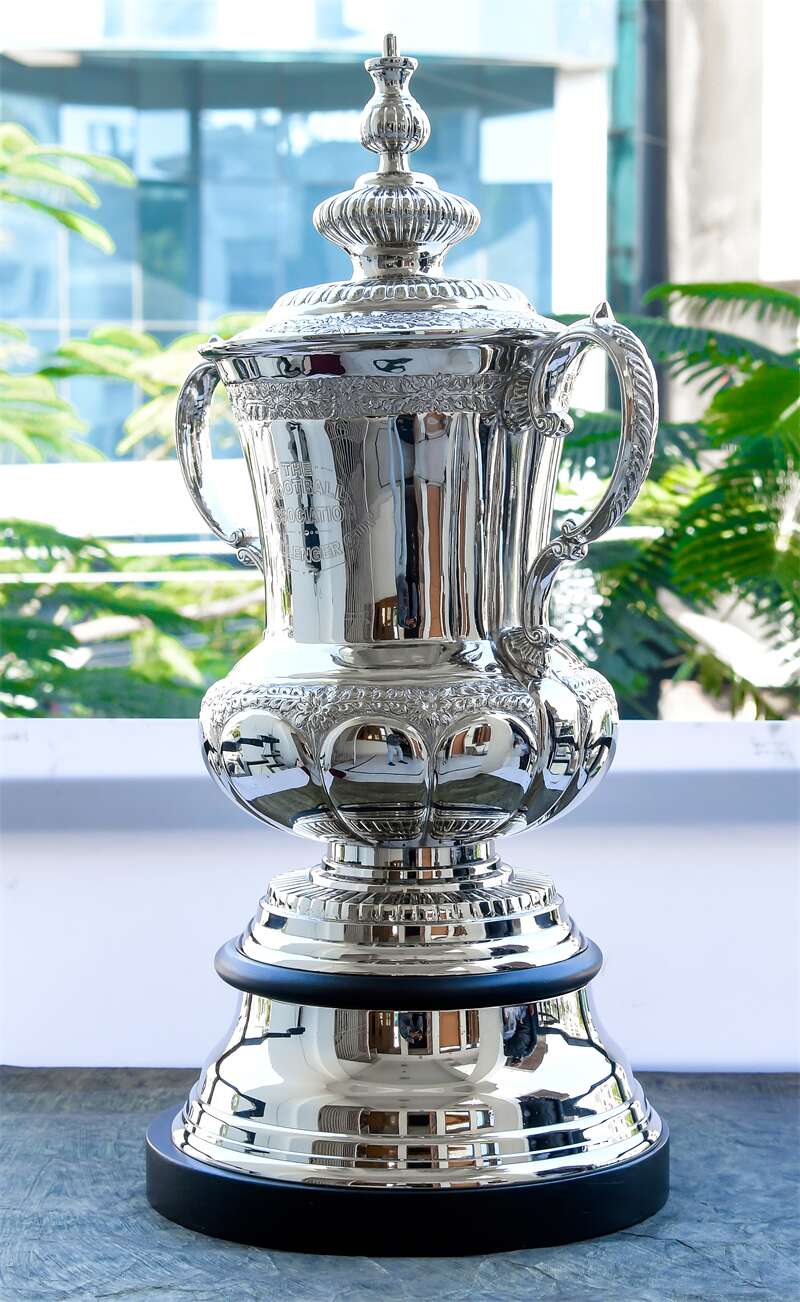 Metal  FA CUP Trophy