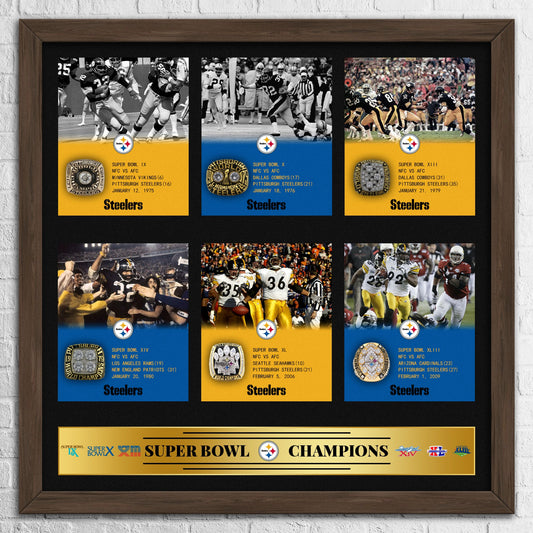 Pittsburgh Steelers NFL Super Bowl Championship Ring Pendant Frame