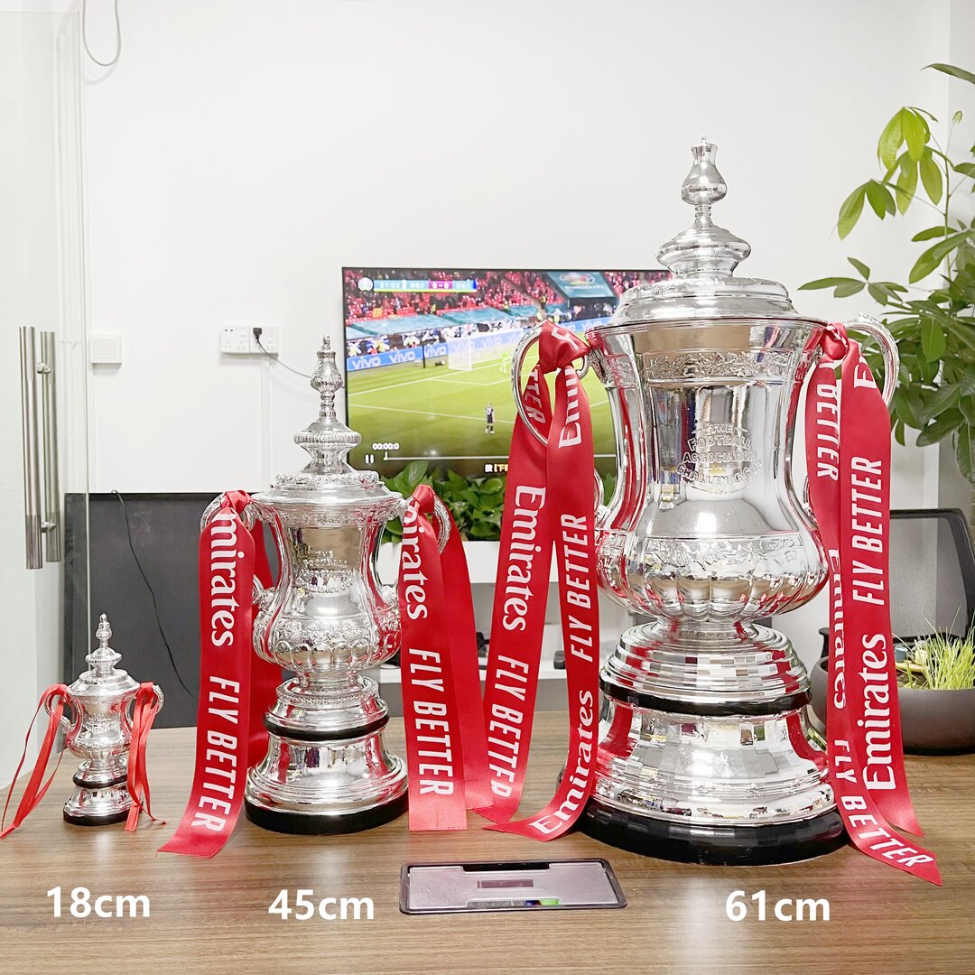 FA Cup Trophy(Indicate what ribbon you want)