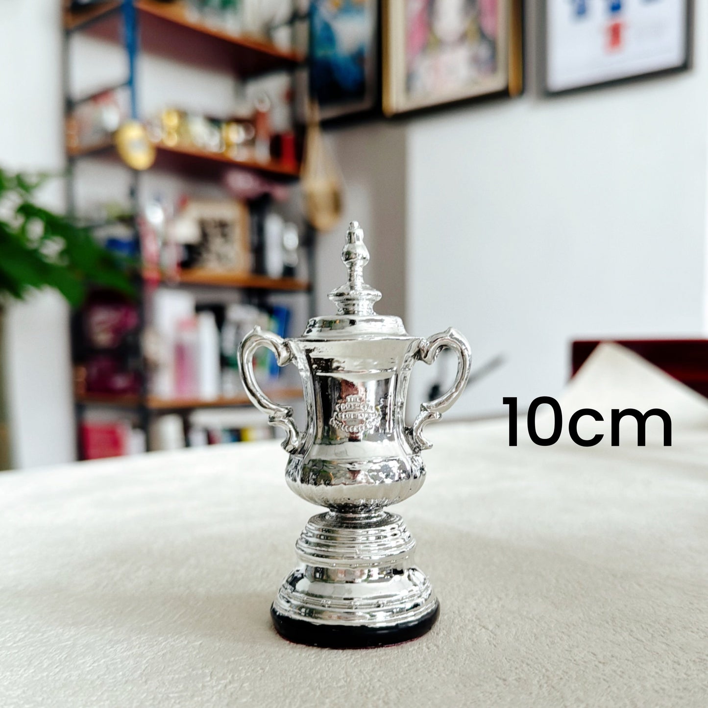 FA Cup Trophy(Indicate what ribbon you want)
