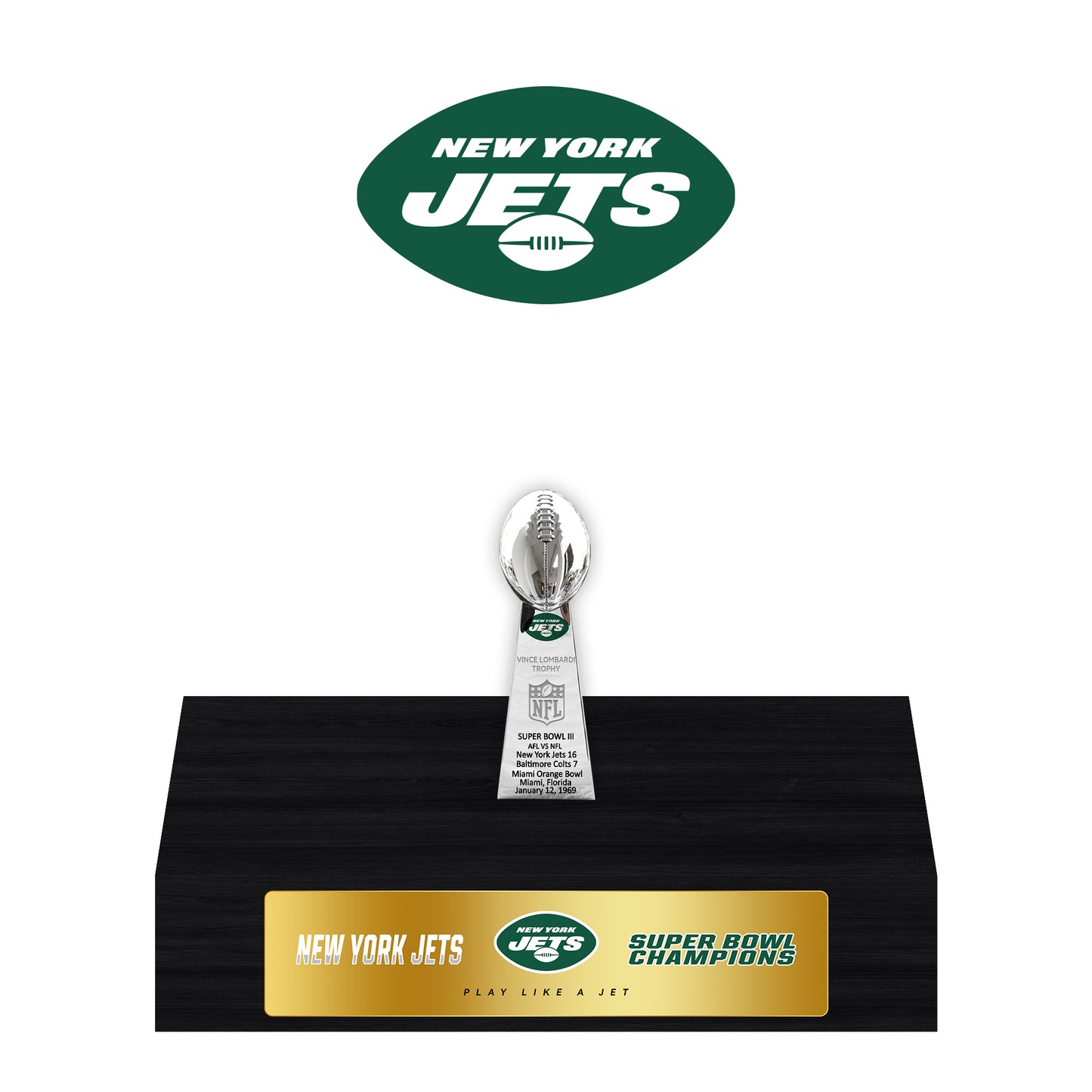 New York Jets Super Bowl Championship Trophy Ring Display Case