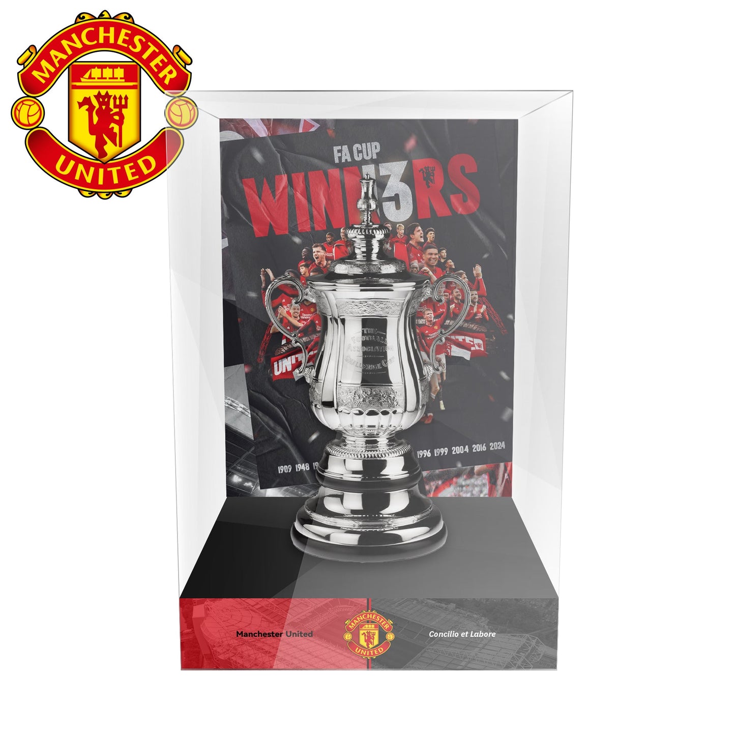 FA Cup Trophy(Indicate what ribbon you want)