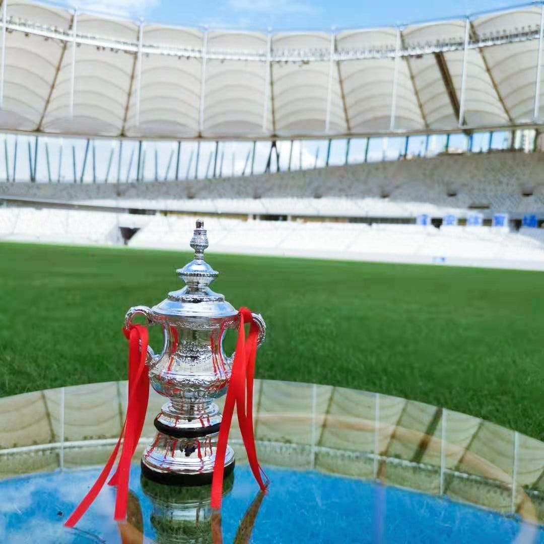 FA Cup Trophy(Indicate what ribbon you want)