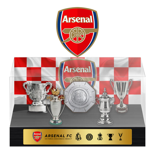 Arsenal Football Championship Trophy Display Case