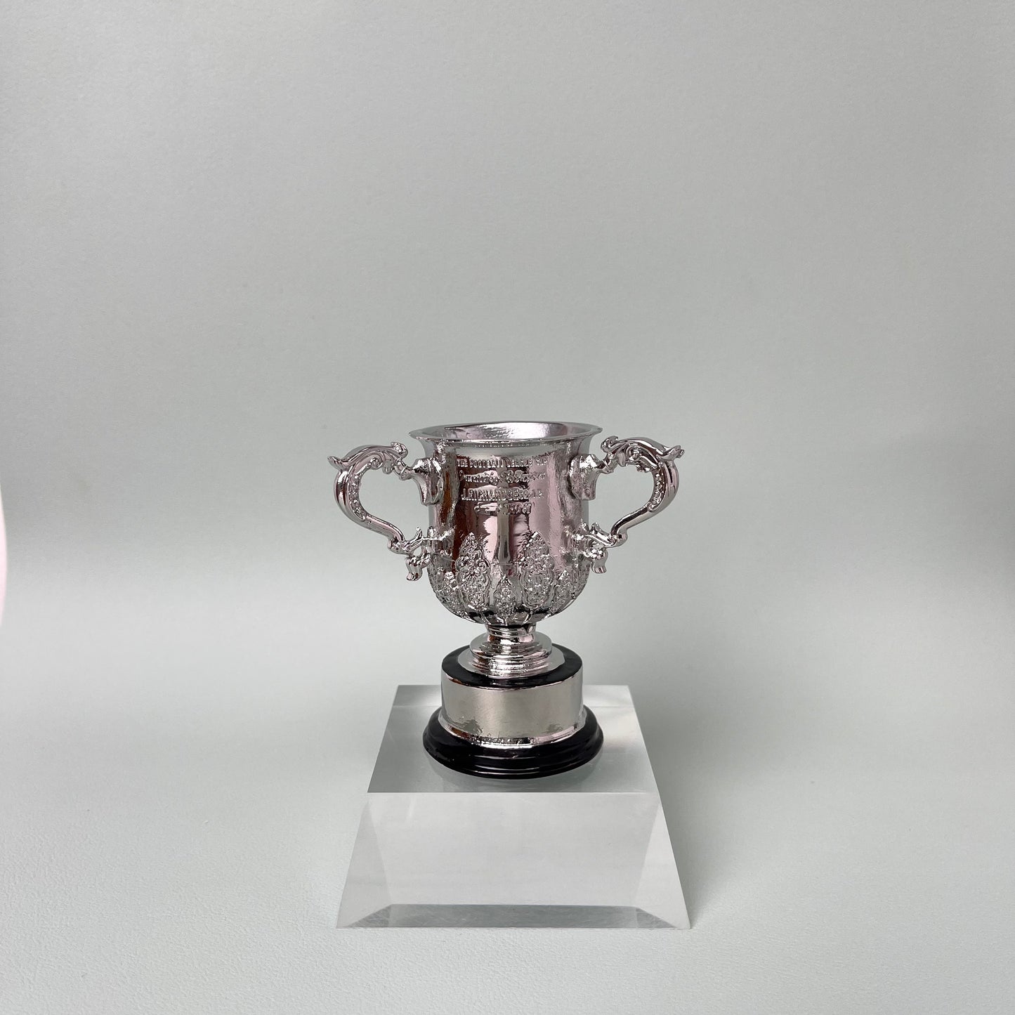 League Cup Carabao Cup Trophy(Only 42cm With 2024-25 Newcastle United  Engraved On the Base) )