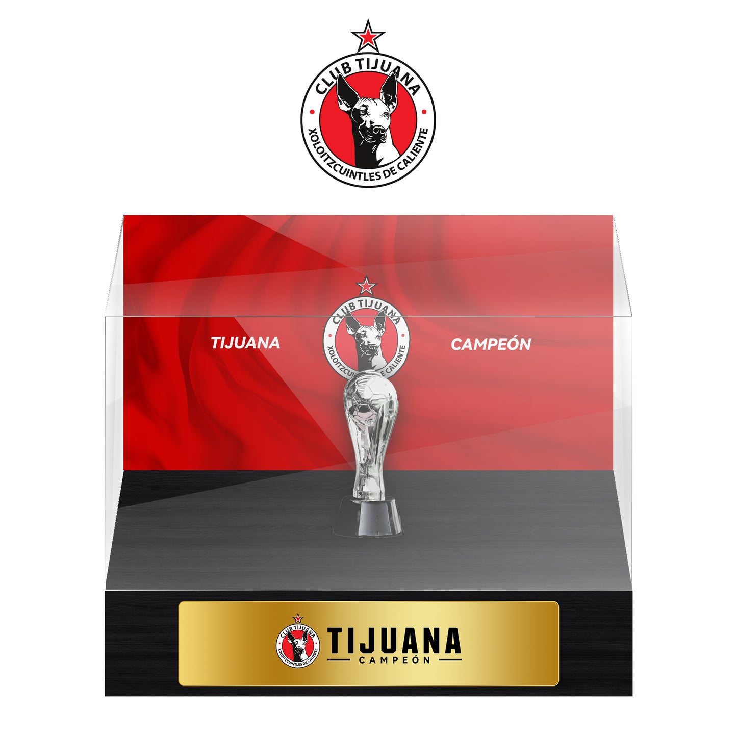 Tijuana Football Championship Trophy Display Case