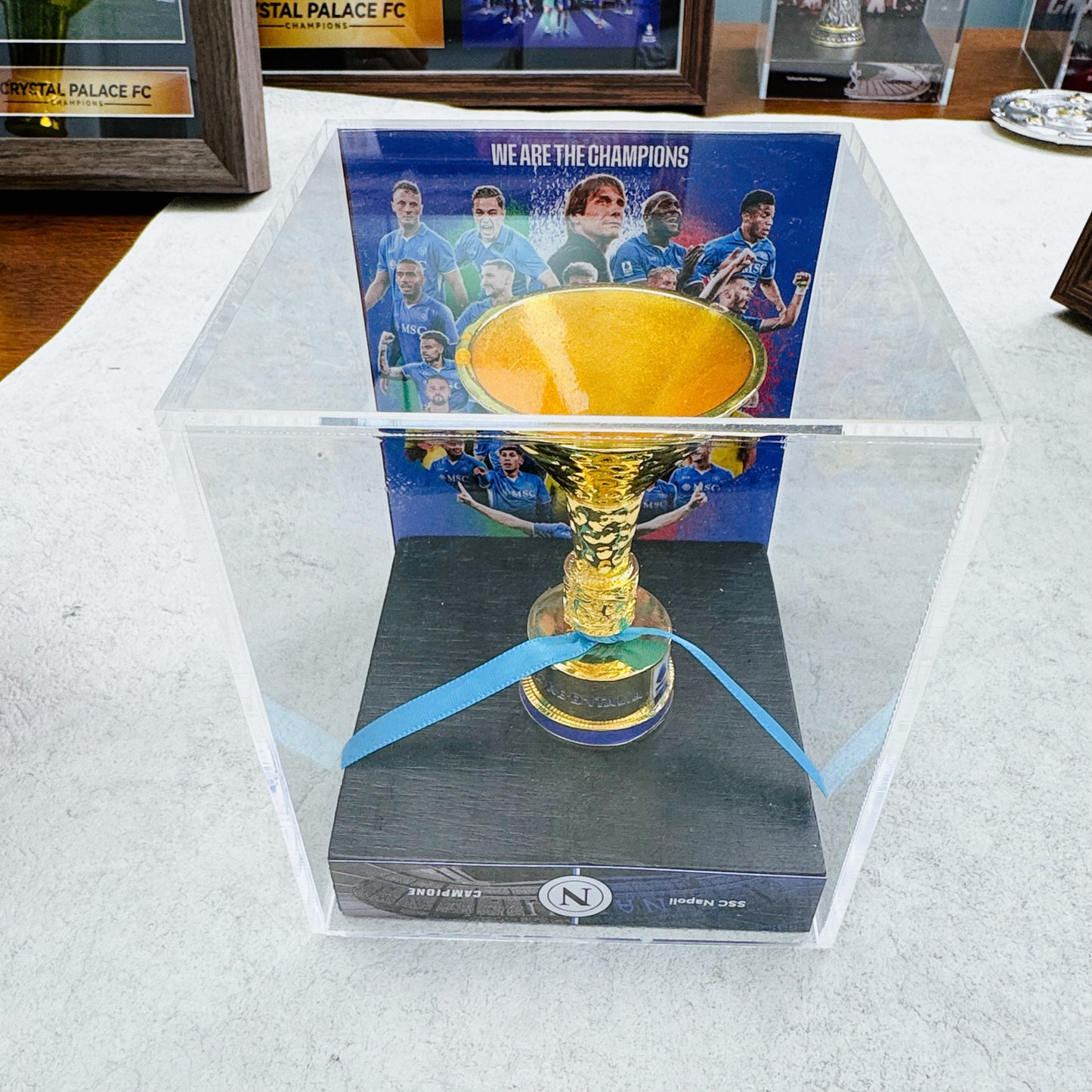 Serie A Championship Trophy Display Case