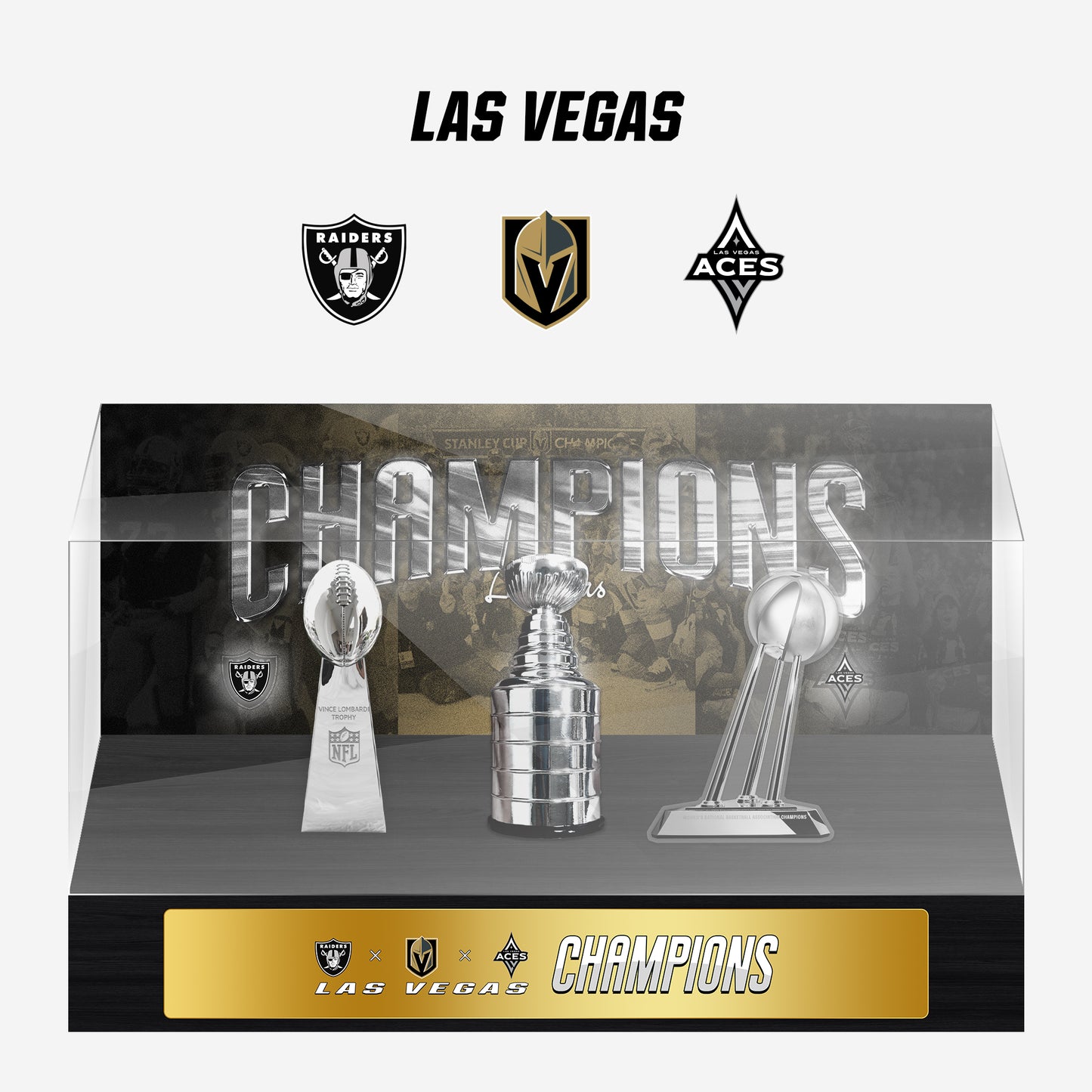 Las Vegas Championship Trophy and Rings Display Case