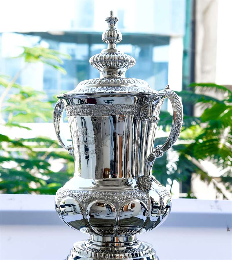 Metal  FA CUP Trophy