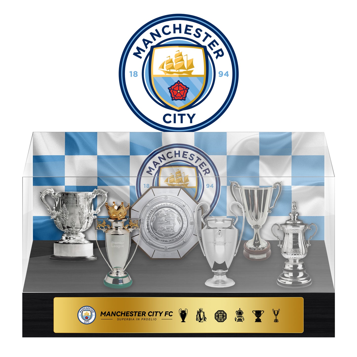 Manchester City Football Championship Trophy Display Case