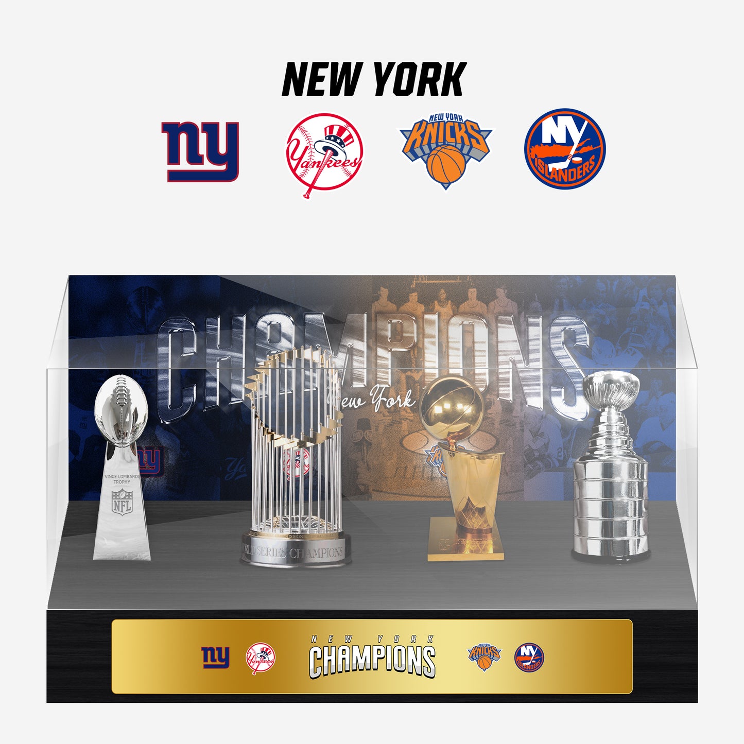 New York Championship Trophy and Rings Display Case B