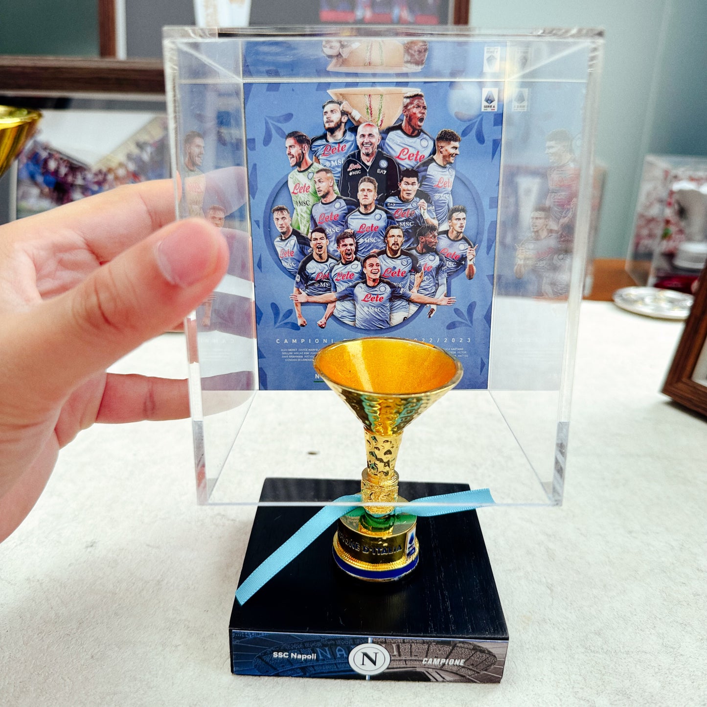 Serie A Championship Trophy Display Case