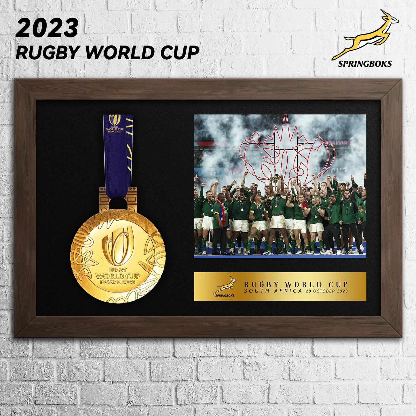 Rugby World Cup Champions Medal Frame Collection(Medal Included)