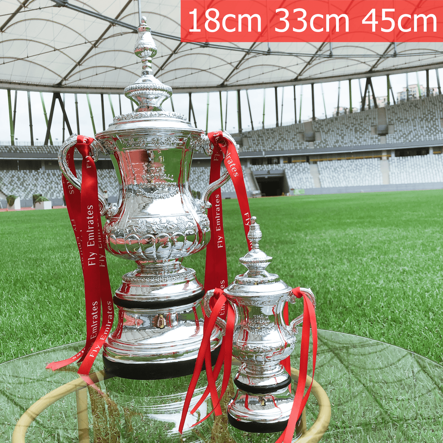 FA Cup Trophy(Indicate what ribbon you want)
