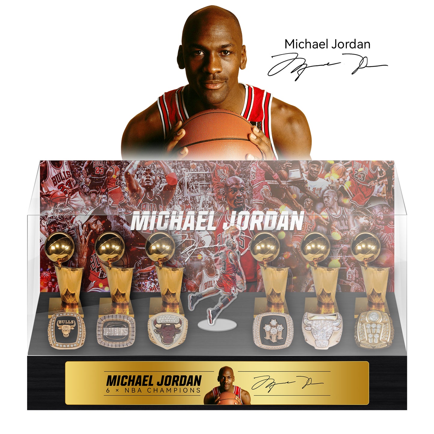 Michael Jordan NBA Championship Trophy And  Rings Display Case