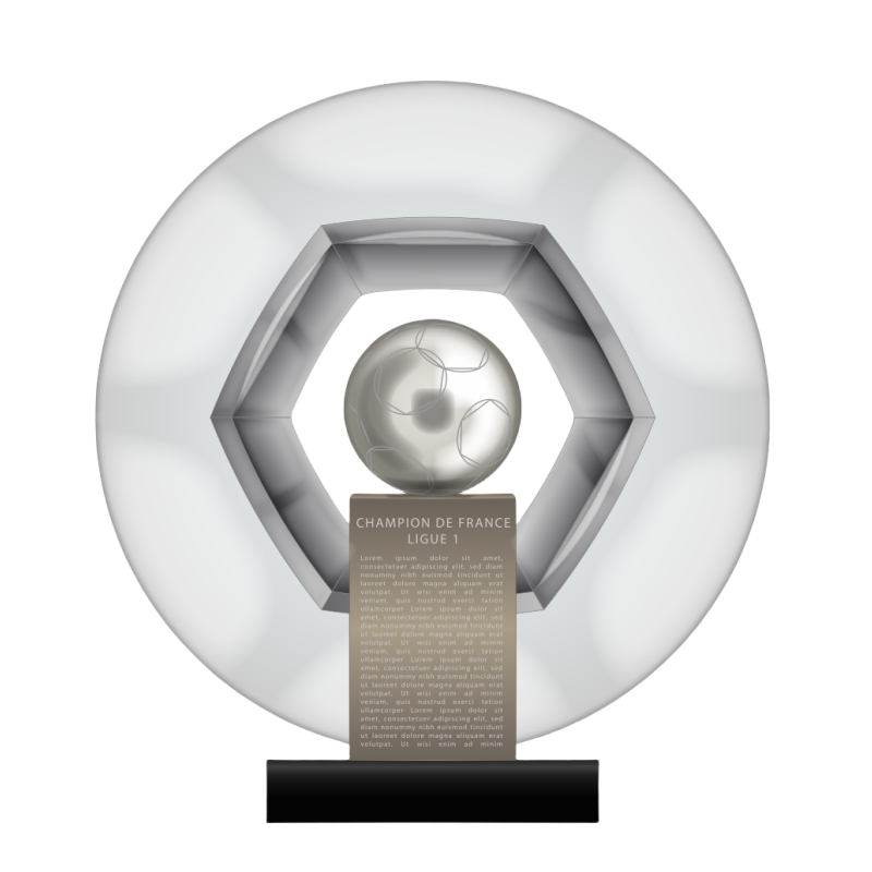 Championnat de France de football Ligue 1 trophy