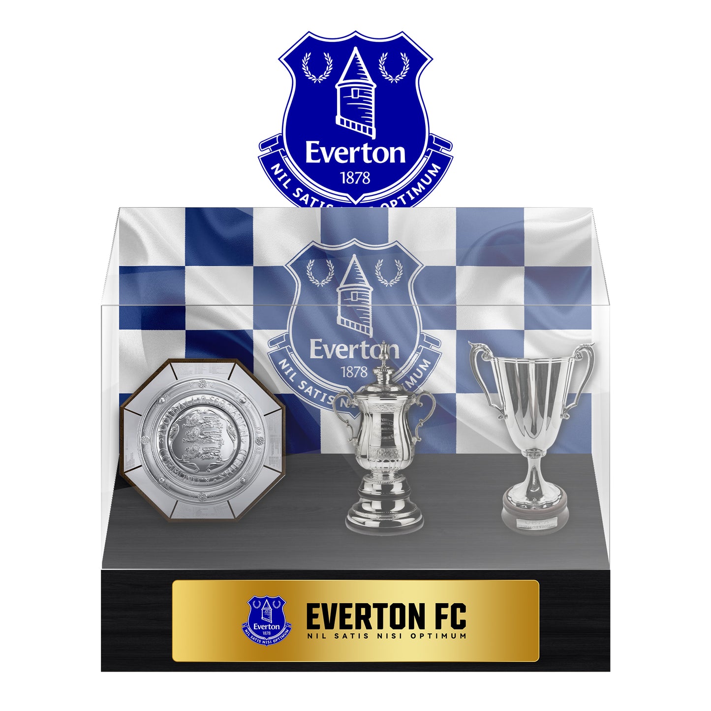 Everton Football Championship Trophy Display Case