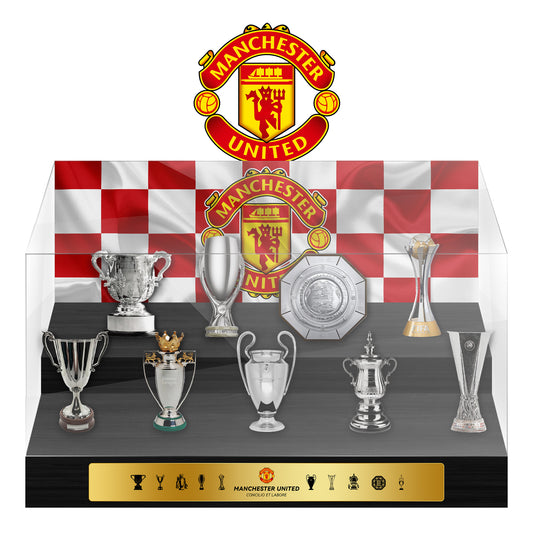 Manchester United Football Championship Trophy Display Case